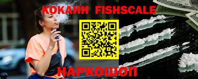 дмт Гай