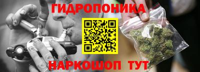 дмт Гай