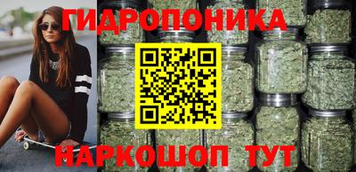 дмт Гай