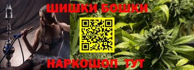 дмт Гай