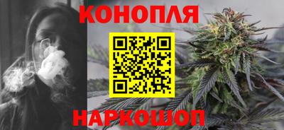 дмт Гай