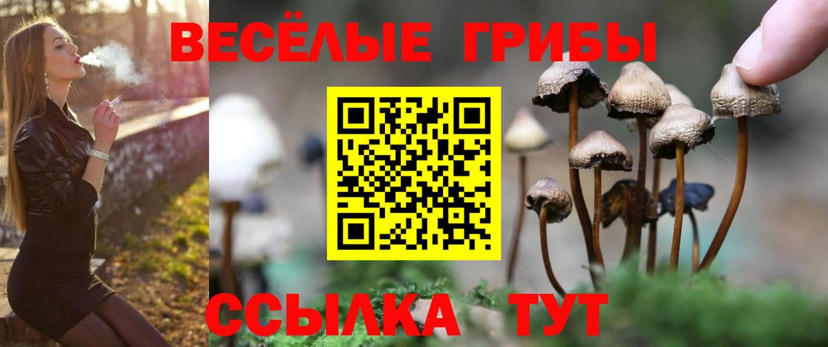 Галлюциногенные грибы Psilocybine cubensis  Галлюциногенные грибы Psilocybine cubensis  Медногорск  Вход с VPN 